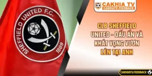 CLB Sheffield United - Dấu Ấn Và Khát Vọng Vươn Lên Tại Anh