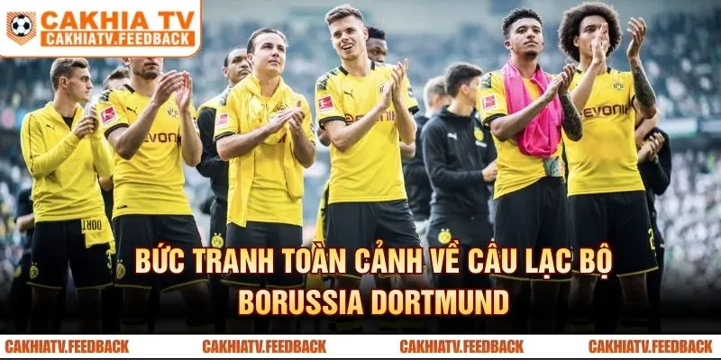 Bức tranh toàn cảnh về câu lạc bộ Borussia Dortmund