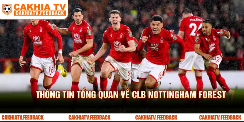 Thông tin tổng quan về CLB Nottingham Forest 